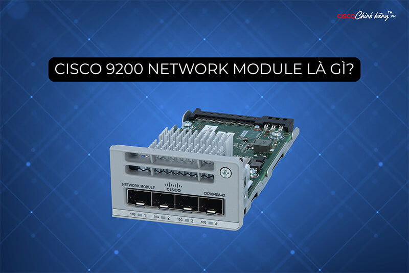 Cisco 9200 Network Module là gì